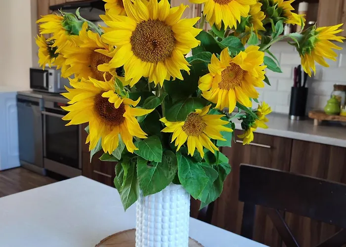 Ubytování v soukromí Pod Lasem *